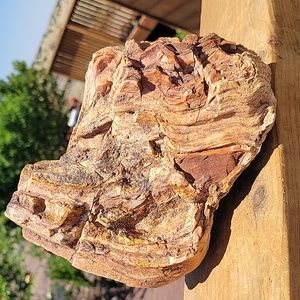 Tree branch chunk 6lbs 6.9oz Az rainbow Agatized petrified wood